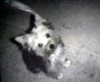 Scanned_Photo-12