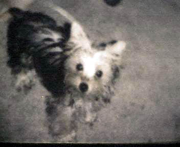 Scanned_Photo-2