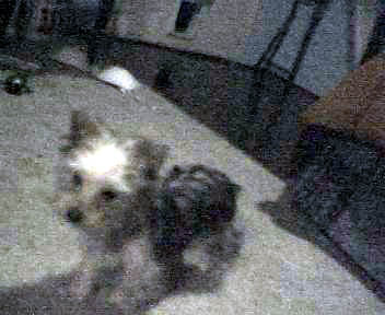 Scanned_Photo-5