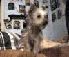 Scanned_Photo-3.jpg