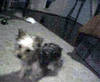 Scanned_Photo-5.jpg