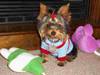 IMGP4157-1.JPG