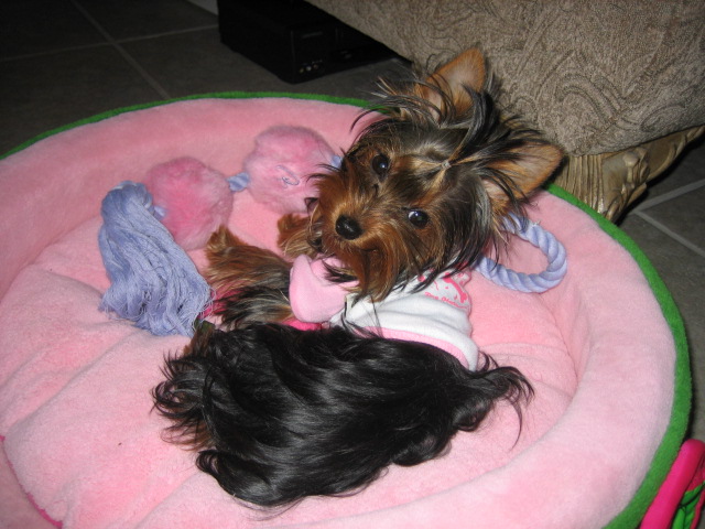More_Pics_041