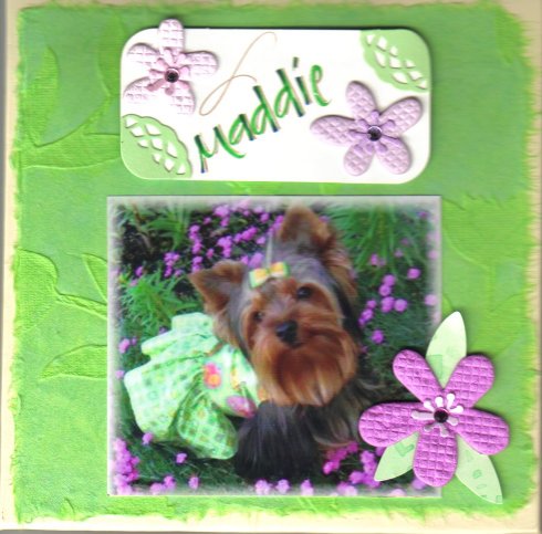 MaddieBook