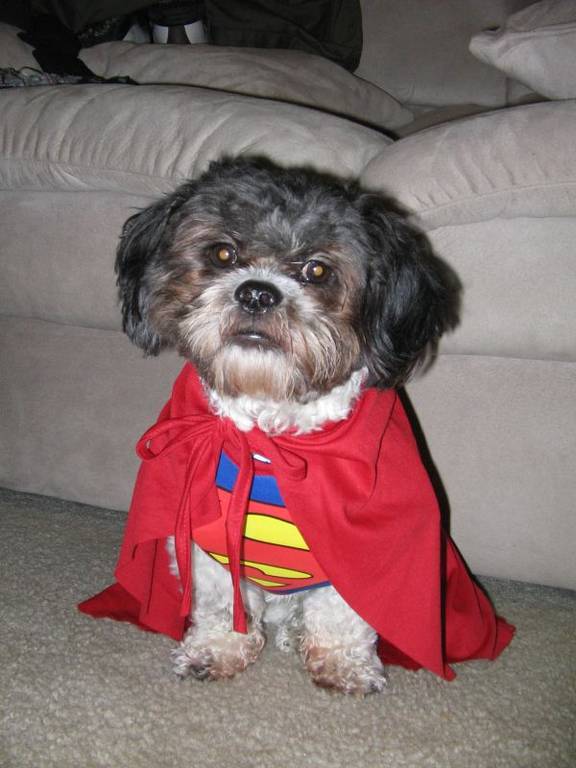Gizzy_as_Superman_2