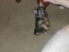 Picture_367.jpg