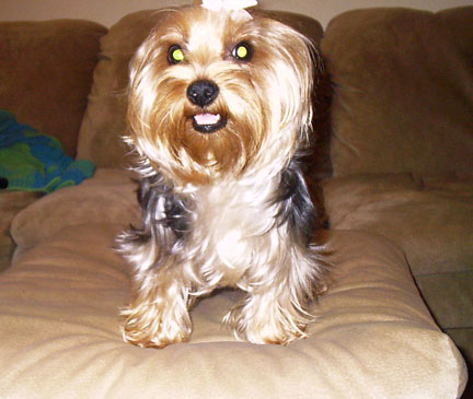 Trixie