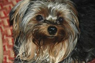 Baker_is_Deucys_SON