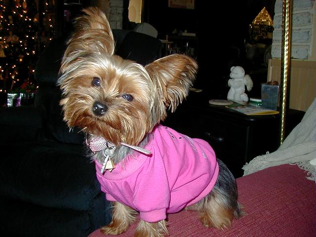 grace_in_pink
