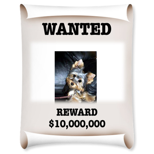 MISSY_WANTED