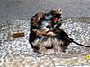 100_0065.jpg
