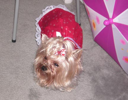 Abby_Chrristmas_2006_027
