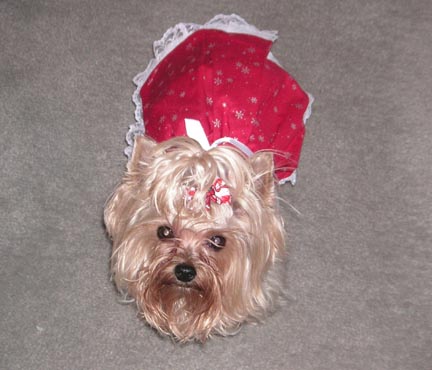 Abby_Chrristmas_2006_029