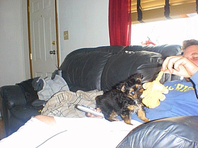 odin_and_dad
