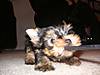 Picture_1092.jpg