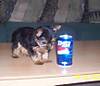 baby_with_pepsi.jpg