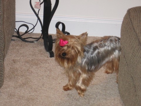 Jolene_at_her_best_005