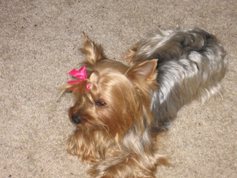 Jolene_at_her_best_006