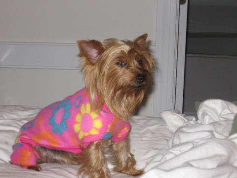Jolene_at_her_best_009