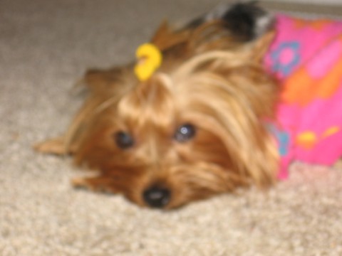 Jolene_at_her_best_024