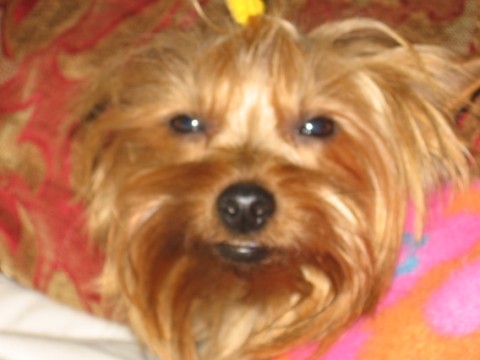 Jolene_at_her_best_027
