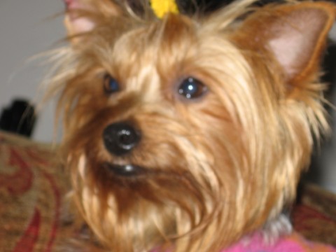 Jolene_at_her_best_028