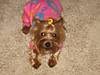 Jolene_at_her_best_021.jpg
