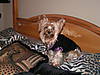 PICT0003.JPG