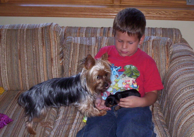 bran_rox_newpup