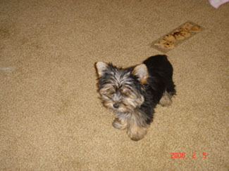 Crystal_Mystic_Zoey_055