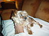 Gizmo_0206.JPG