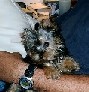 Gabby_and_Dad