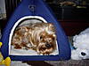 MUFFIN_Mar_06_030.jpg