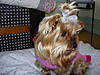 MUFFIN_Mar_06_040.jpg