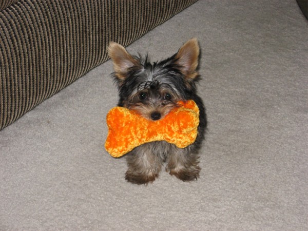 Cali_14wks_3