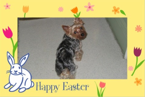Easter