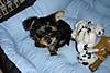 DSC00444.JPG