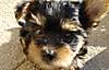 DSC00450.JPG