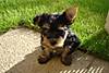 DSC00451.JPG
