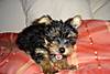 DSC00486.JPG