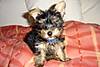 DSC00489.JPG