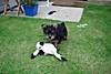 DSC00498.JPG