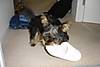 DSC00658.JPG