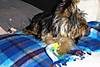 DSC00727.JPG