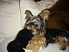 DSC00848.JPG