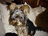 DSC00850.JPG