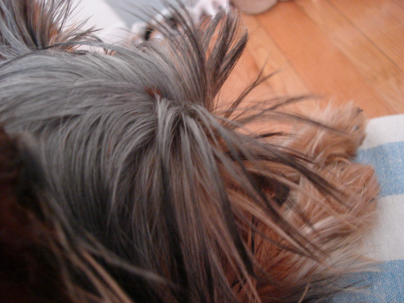 DSC00660
