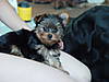 More_Phoebe_Pics_002.jpg