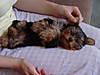 More_Phoebe_Pics_013.jpg