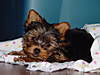 More_Phoebe_Pics_018.jpg